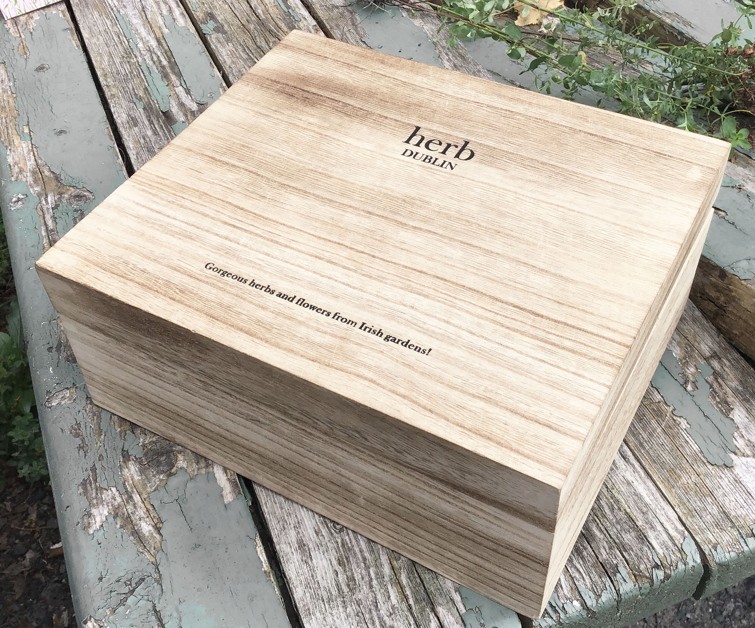 Wellness Hamper - Image 3