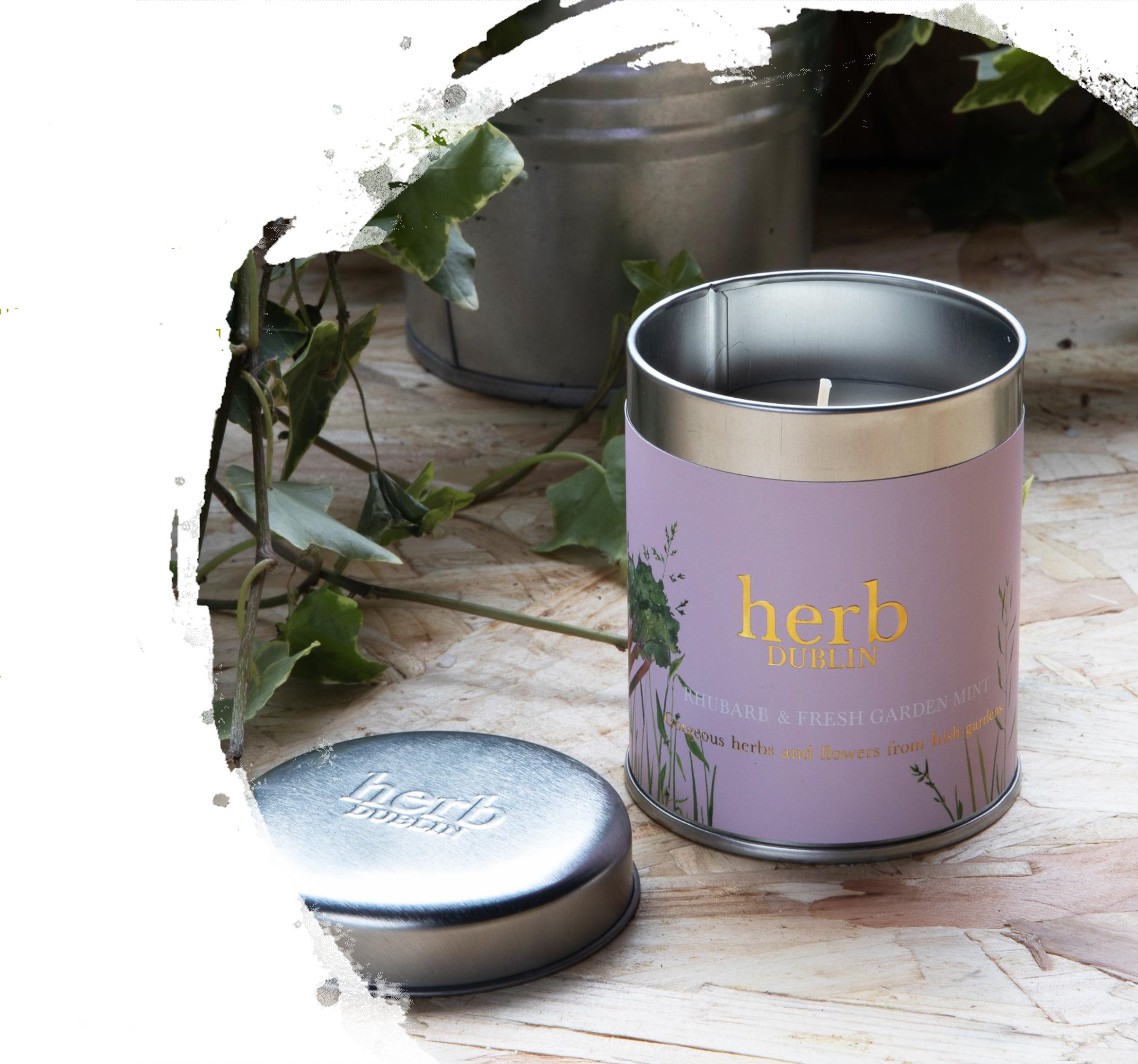 Rhubarb and Fresh Garden Mint- Tin candle.