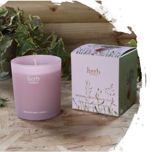 Rhubarb and fresh garden mint- Jar candle.